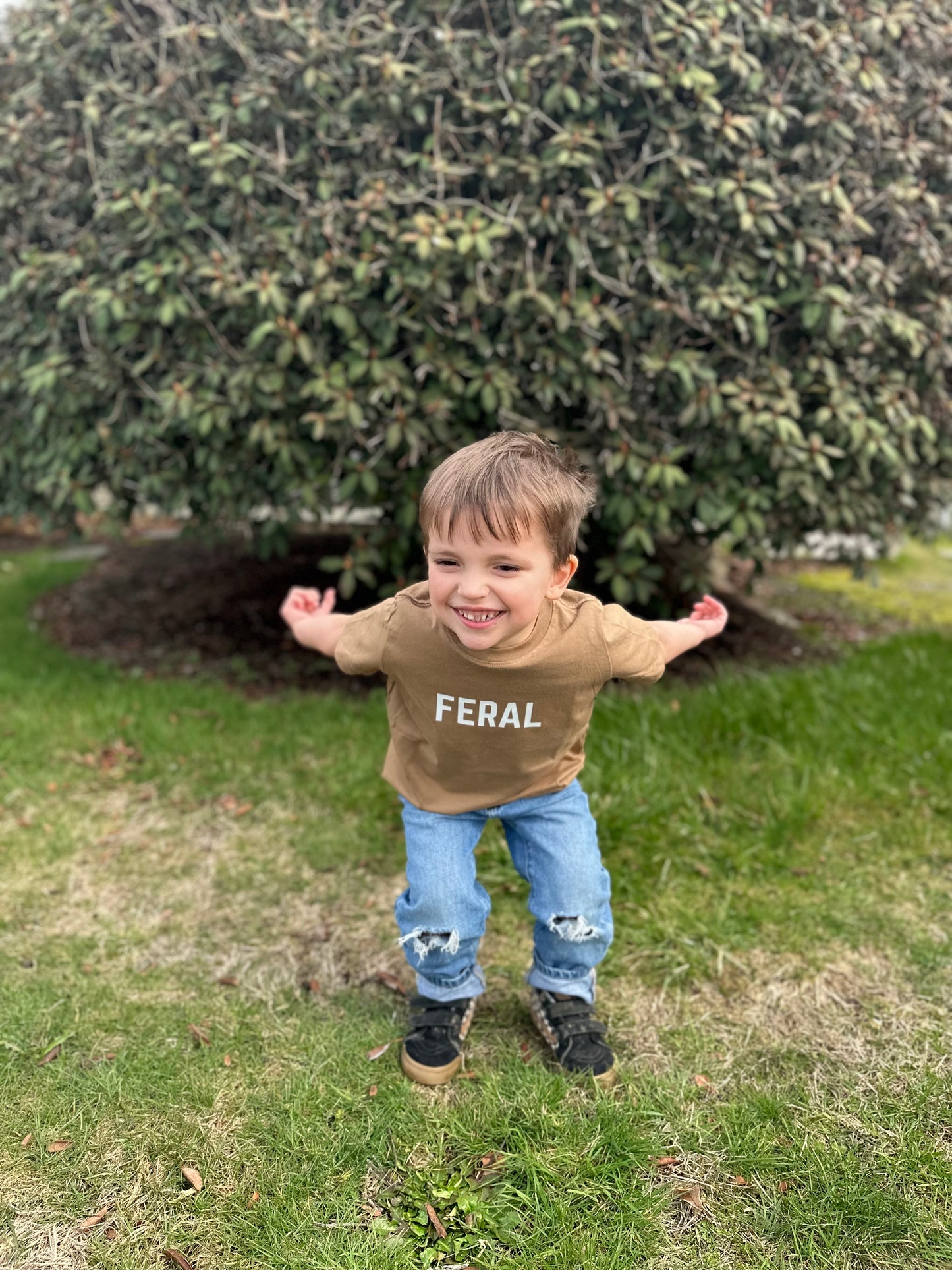 Mini Feral